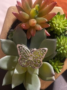 Origami owl butterfly locket